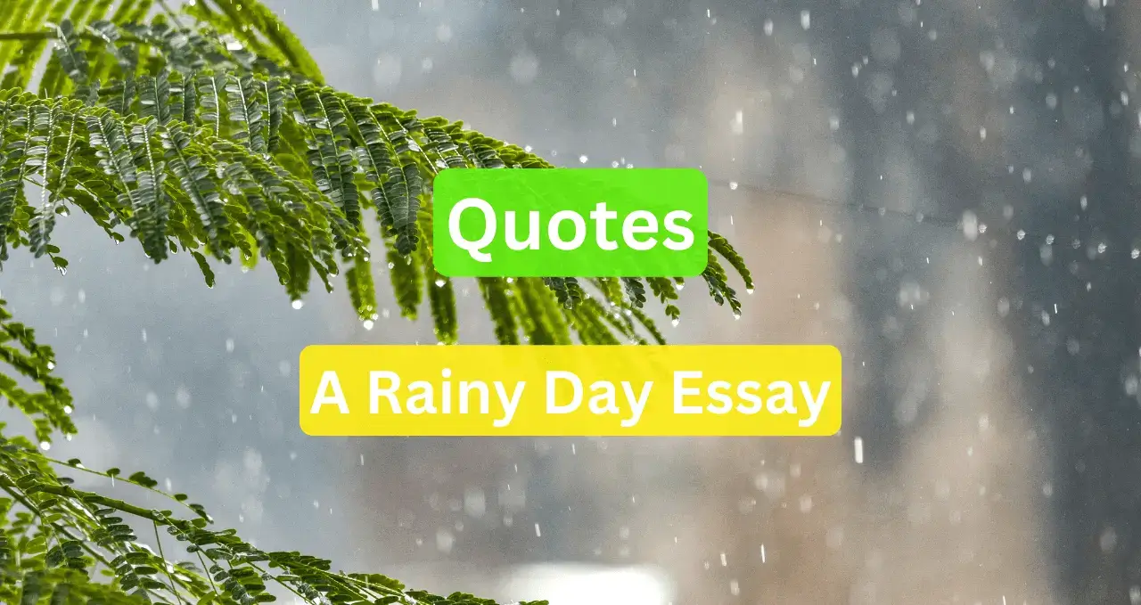Quotes about rain