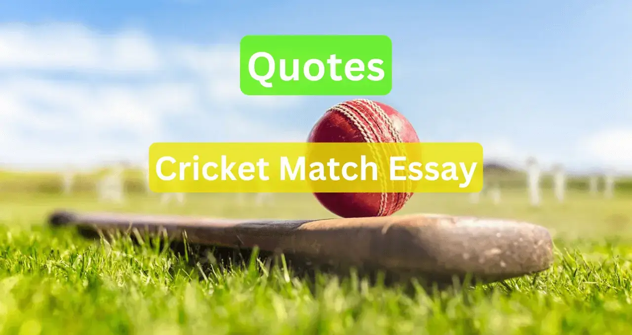 quotations about cricket match essay