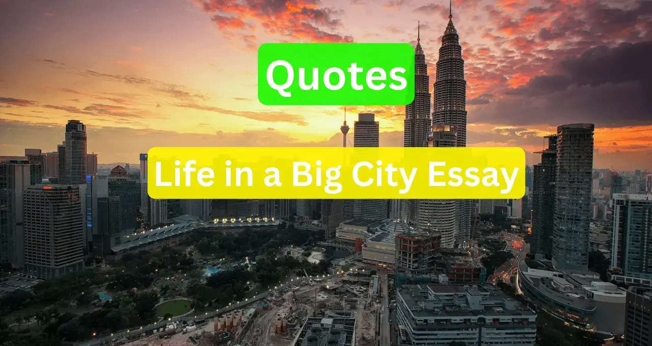 quotations about life in a big city essay