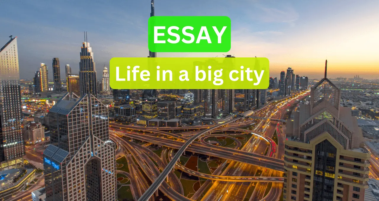 life in a big city essay