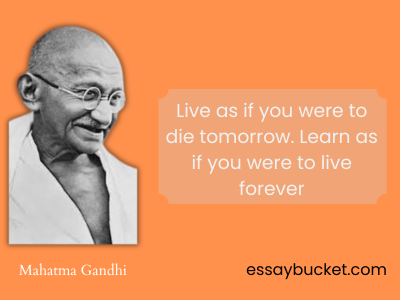 mahatma gandhi quotes about education