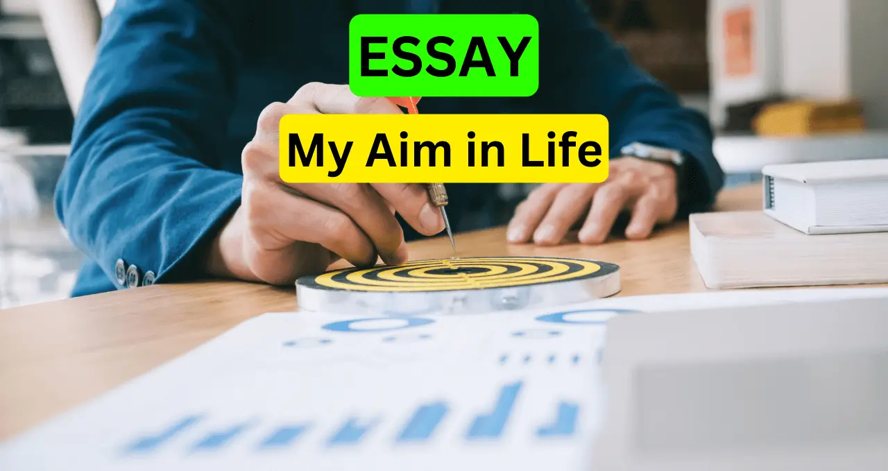 my aim in life essay