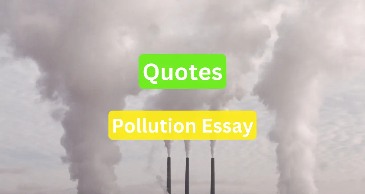 Quotations about pollution essay