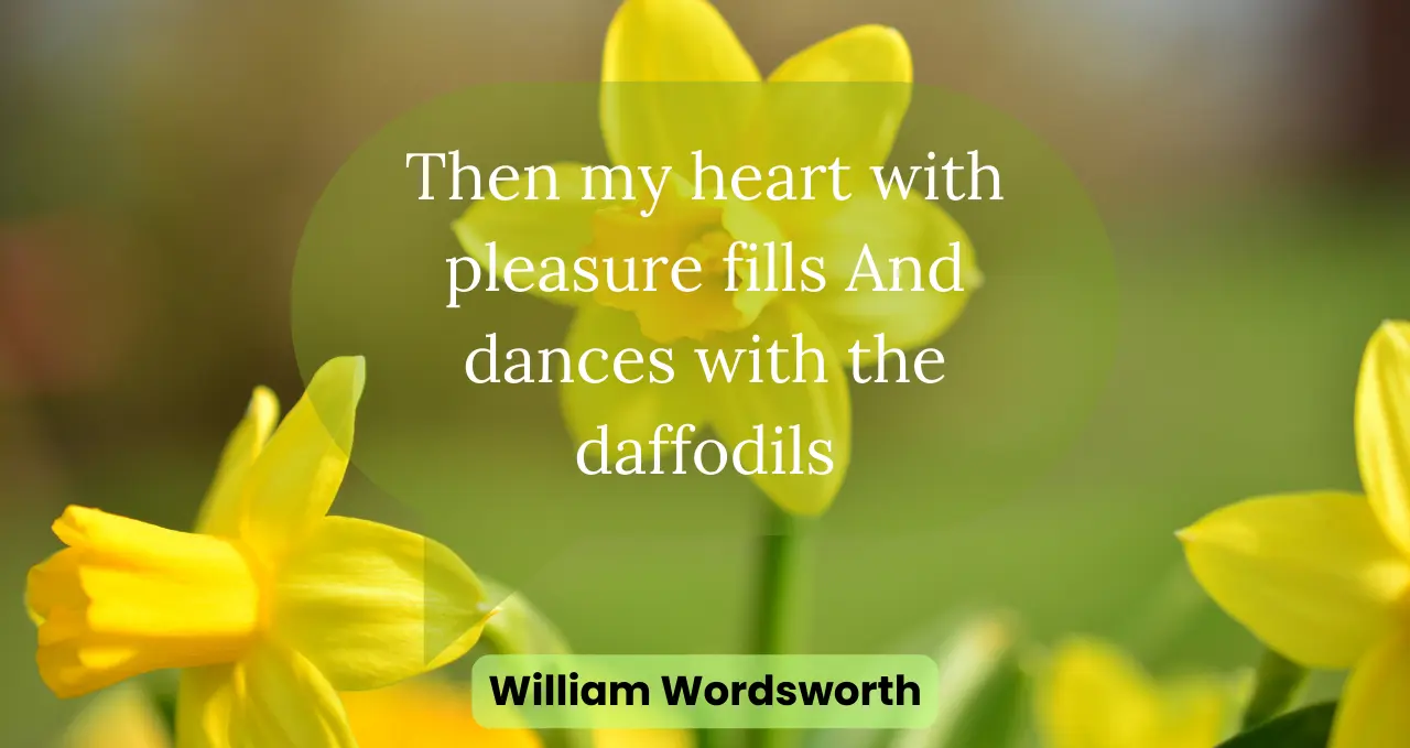 Important quotation about Daffodils summary